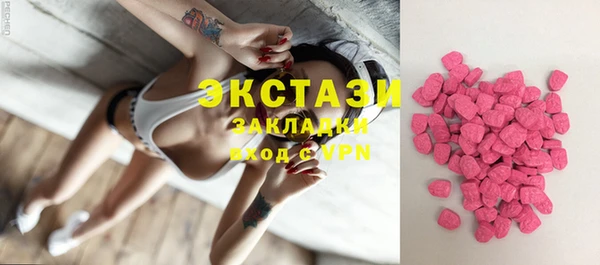 стаф Алзамай