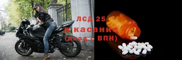 стаф Алзамай