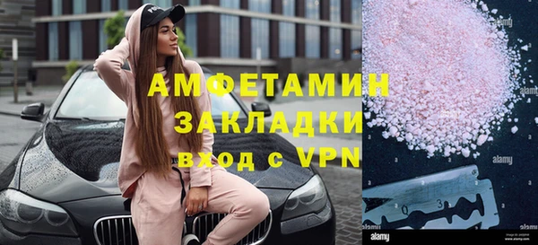 стаф Алзамай