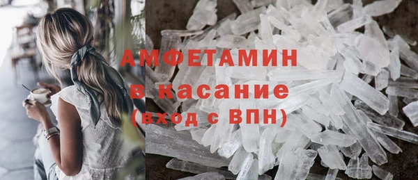 стаф Алзамай